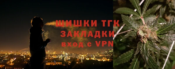 мет Алексин