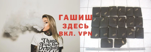 стаф Алзамай
