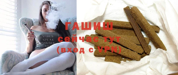 стаф Алзамай