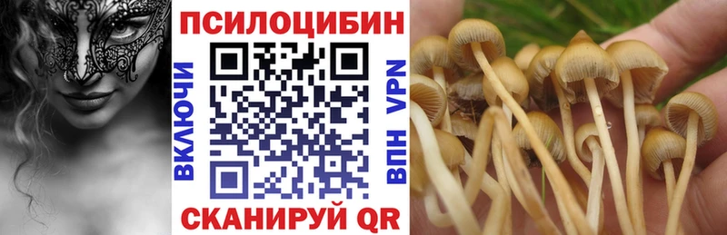 Галлюциногенные грибы прущие грибы  купить наркоту  Шимановск 